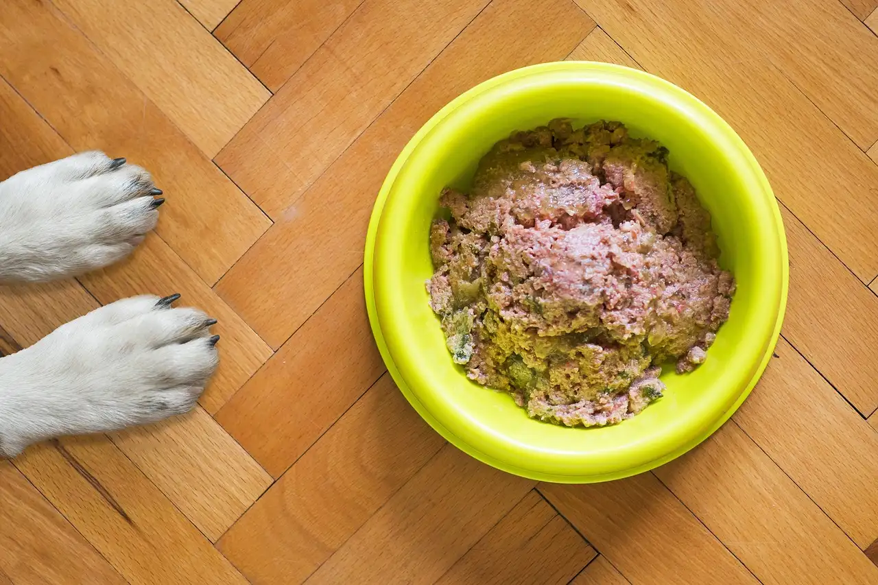 Hundeernährung Welpenkost