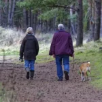 Hunde für Senioren